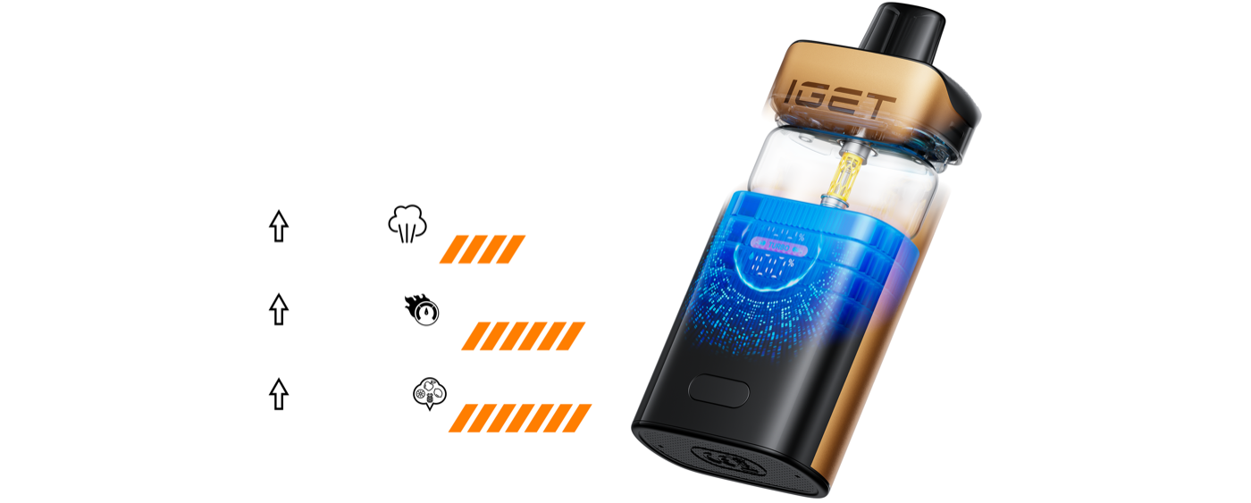 IGET ONE 0.6 ohm dual mesh coil diagram