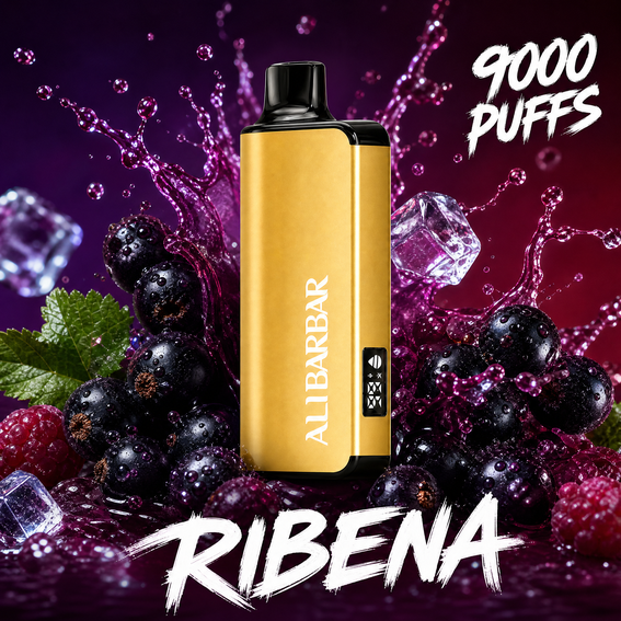 ALIBARBAR INGOT 9000 - 9000 Puffs Disposable Vape - RIBENA